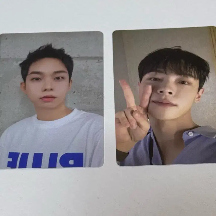 [BUNJANG] Lucy Choi Sangyeop Shin Yeychan Flower Encore Tokyo Photocard / 루시 최상엽 신예찬 플라워앙콘 도쿄 포토카드