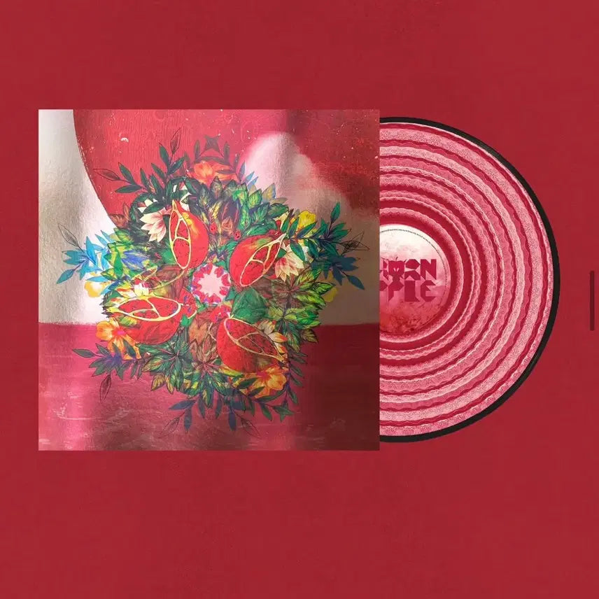 [BUNJANG] SURL Seoul LP Record / 쏜애플 서울병 lp 구매합니다
