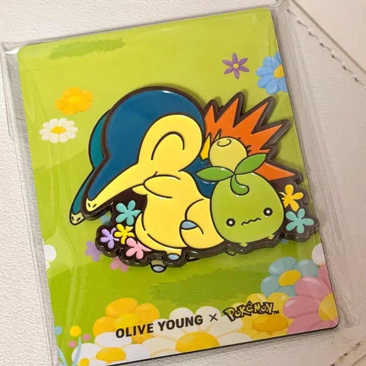 [BUNJANG] Olive Young Pokémon Double Magnet Brase / 올리브영 포켓몬 더블 마그넷 랜덤 브케인