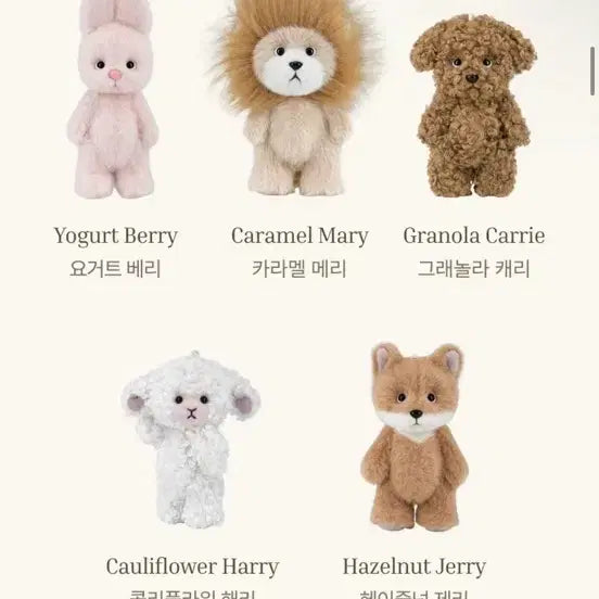 [BUNJANG] Teddy Tales Little Fairy Collection Set / 테디테일즈 초판 리틀페어리 5종 일괄