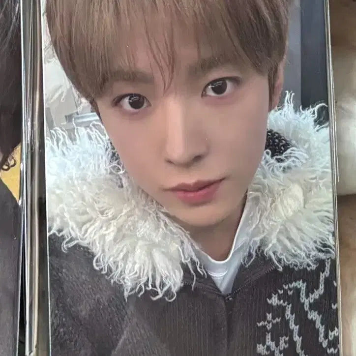[BUNJANG] NCT WISH WishNini Kuriniini BubbleNini PangPangNini Sealed / 엔시티위시 미개봉 위시니니 쿠리니니 버블냥니 팡팡니니 양도