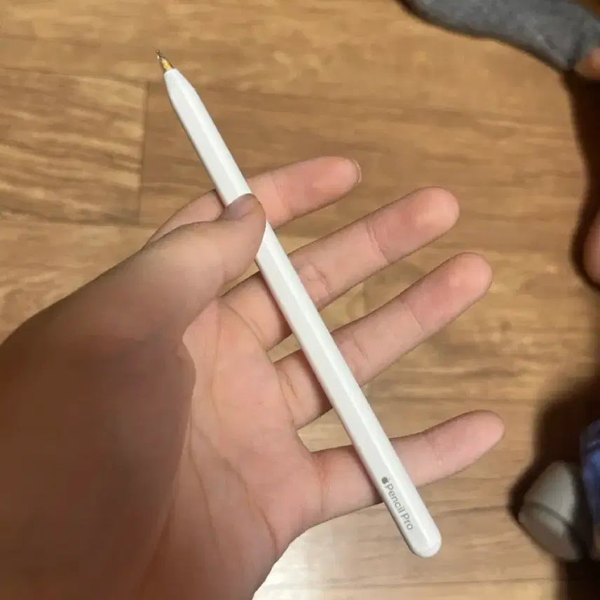 [BUNJANG] Apple Pencil Pro Full Set / 급처, 상세설명 필독)애플펜슬 풀구성 프로 판매