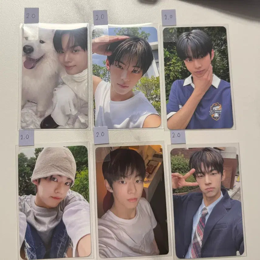 [BUNJANG] TWS Dohyun Photocard / [급처-2만원] 투어스 도훈 포카 양도