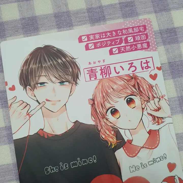 [BUNJANG] Hoshino Mizuki "Overwhelming Boyfriend" Profile Card - Bessatsu Margaret Shōjo Manga Goods / 과분한남친 프로필 카드 불가항력의 호시노 미즈키 별책마가렛 순정만화 굿즈