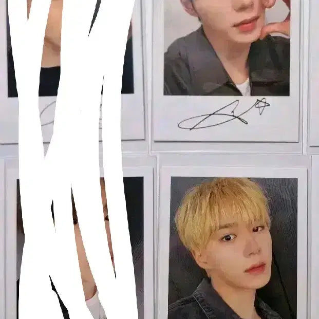 [BUNJANG] Bring Green Photocard Set Split Set (Arno, Sanghyun) / 준서 브링그린 포카 세트 분철 알디원 알파드라이브원 포토카드