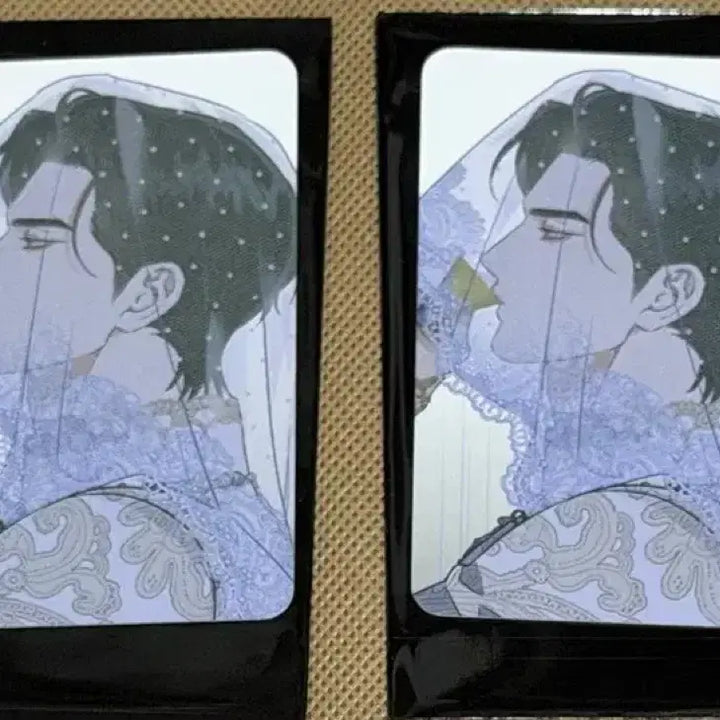 [BUNJANG] Lebom Cafe Baekyaha-ui Kkotgil Special Edition Photocard Set / Lebom 레봄 카페 백야의꽃길 특전 포토카드 테이