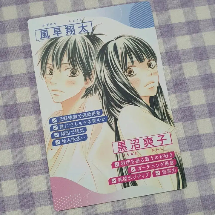 [BUNJANG] Kimi ni Todoke Profile Card Set - Shueisha Manga Goods / 너에게닿기를 프로필 카드 포카 별책마가렛 반다이 순정만화 너닿 굿즈