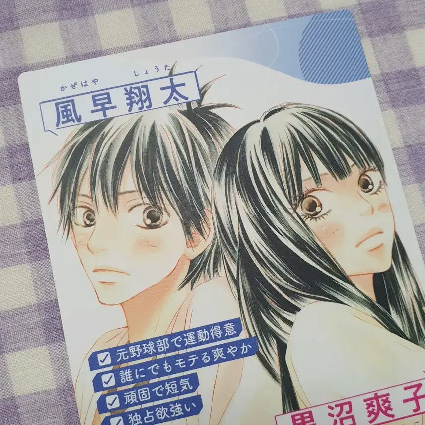 [BUNJANG] Kimi ni Todoke Profile Card Set - Shueisha Manga Goods / 너에게닿기를 프로필 카드 포카 별책마가렛 반다이 순정만화 너닿 굿즈