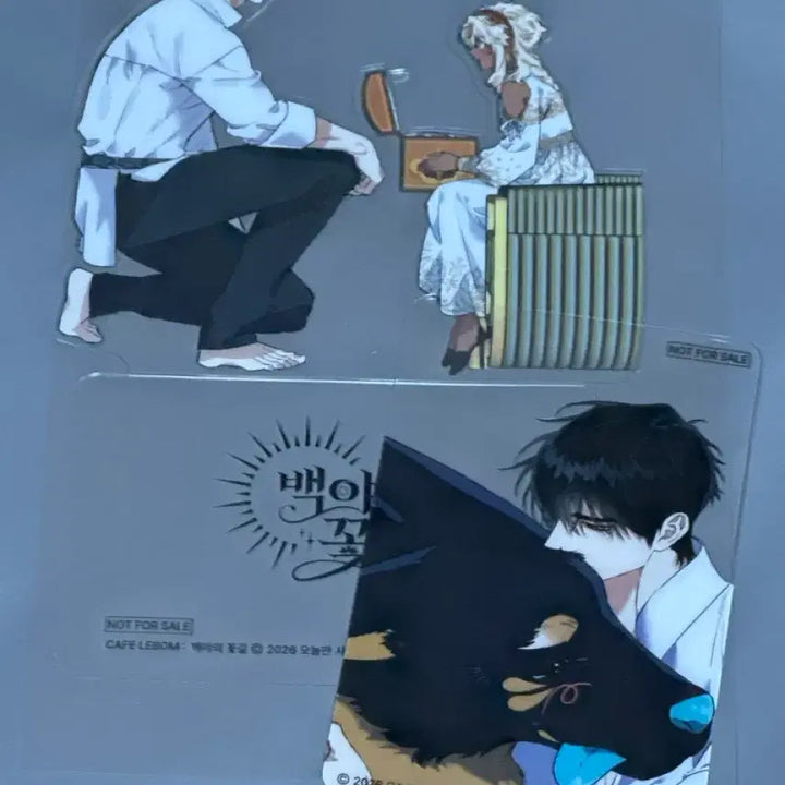 [BUNJANG] Rebom Baekya&
