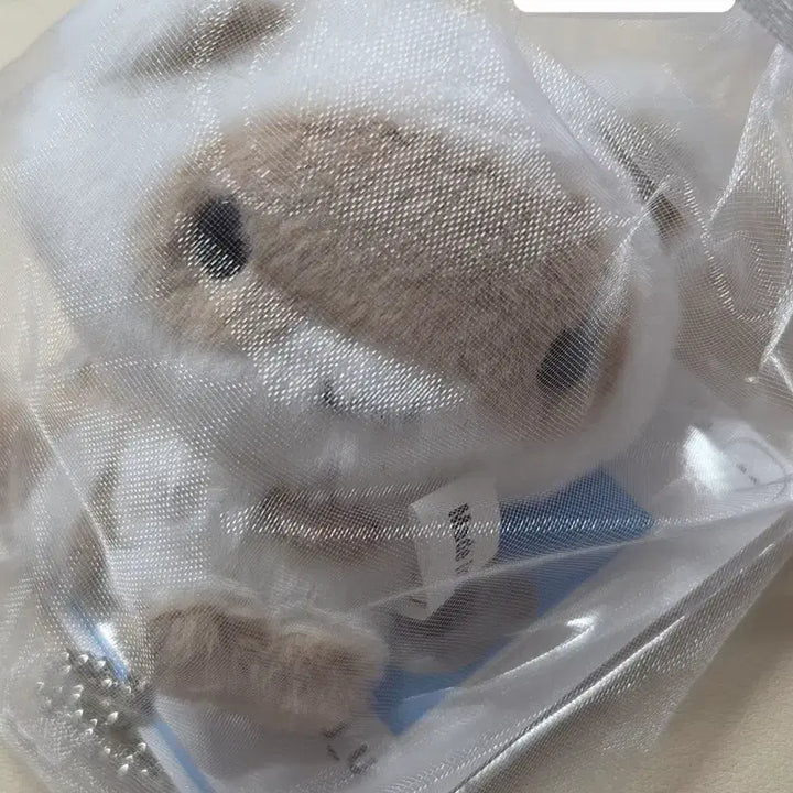 [BUNJANG] Hinakuu Doll / 히나쿠우 인형