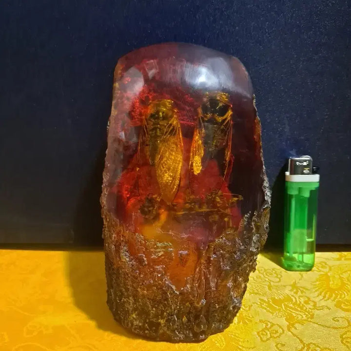 [BUNJANG] Unique "Cicada Fossil?" Sculpture / 신기한 왕매미2마리 화석?