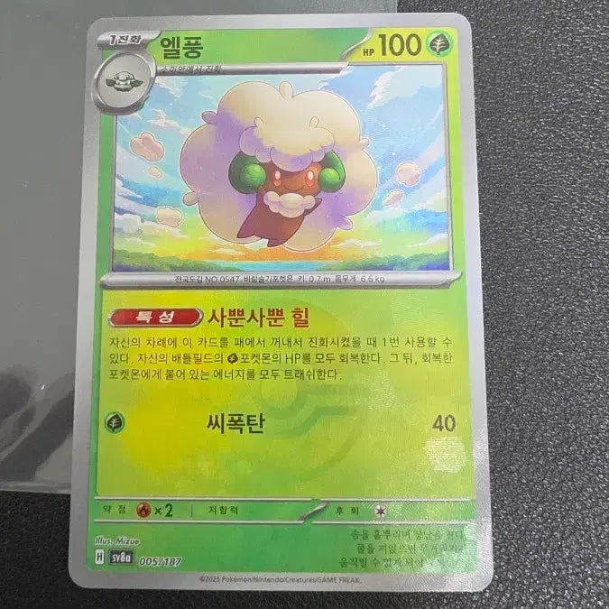 [BUNJANG] Pokemon Card Elpuff Monster Ball sv8a / 포켓몬 카드 엘풍 몬스터볼 sv8a