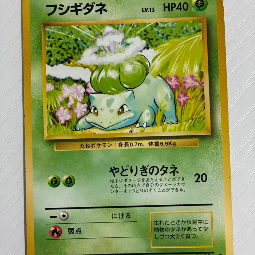 [BUNJANG] Vintage 1996 Pokemon Card - Bulbasaur / 포켓몬카드 초기 1996 이상해씨