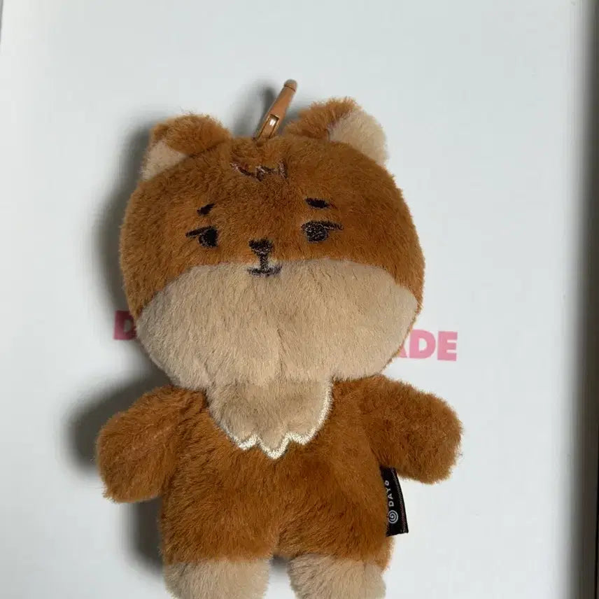 [SOLD OUT] 데이식스 태닝케 영케이 쁘띠멀즈