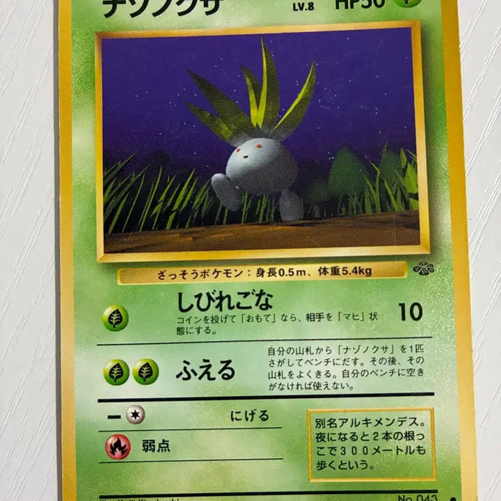 [BUNJANG] Pokemon Card Oddish 1996 Vintage / 포켓몬카드 초기 1996 뚜벅초