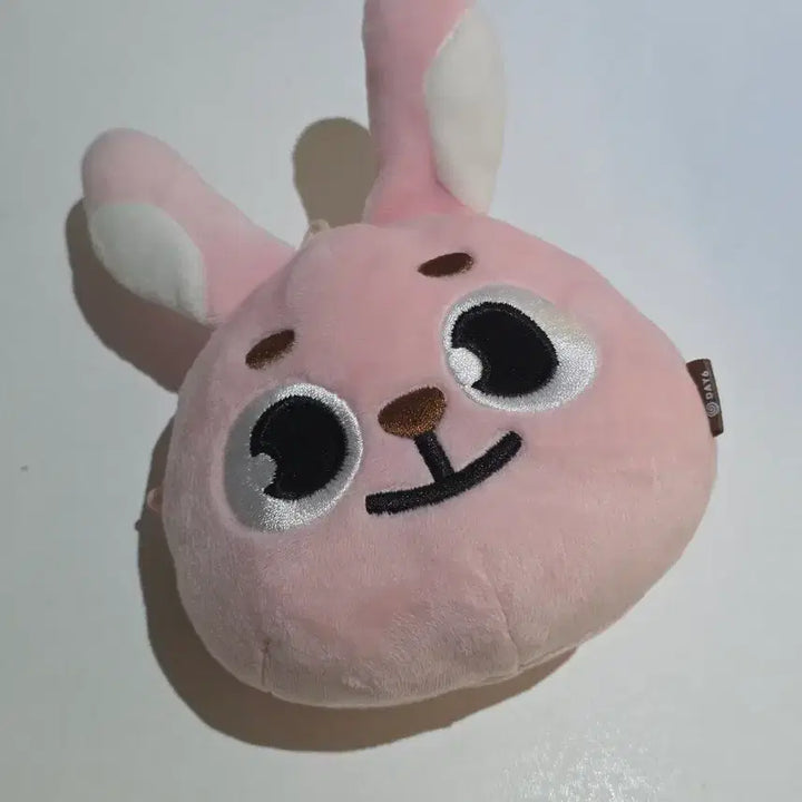[BUNJANG] DAY6 Wonpil Danimals Pouch / 데이식스 원필 데니멀즈 파우치