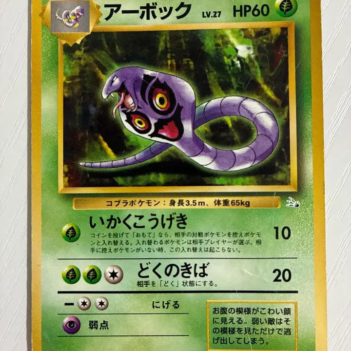 [BUNJANG] Pokemon Card Abok (Arbok) 1996 Vintage / 포켓몬카드 초기 1996 아보크