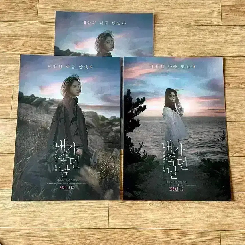 [BUNJANG] If I Died Tomorrow CineQ A3 Poster Set (2 types) / 내가죽던날 씨네큐 A3 포스터 2종 김혜수 고아라 영화 씨네Q