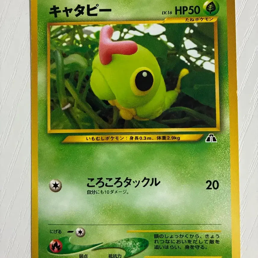 [BUNJANG] Pokemon 1996 Caterpie Vintage Trading Card / 포켓몬카드 초기 1996 캐터피
