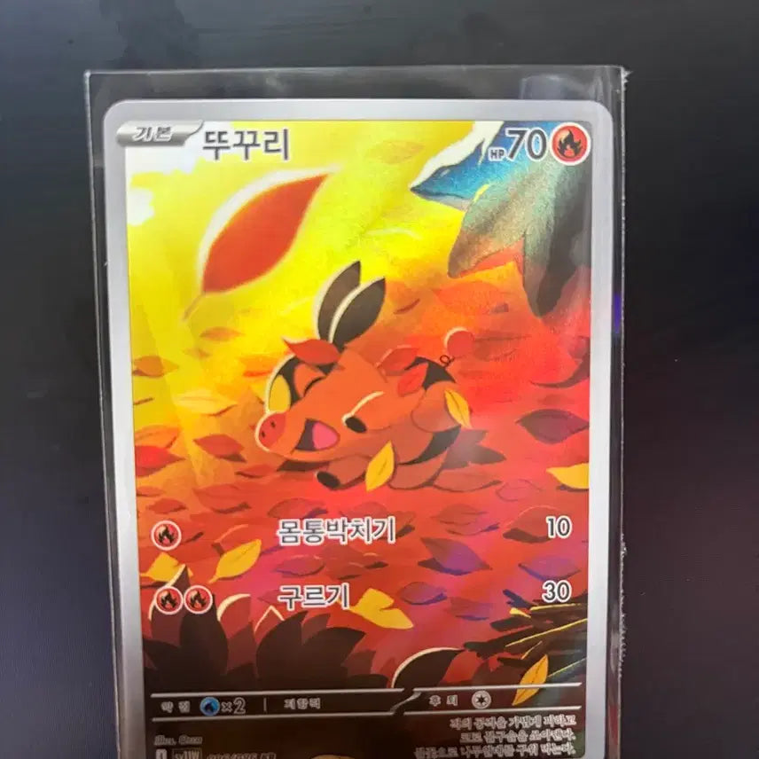 [BUNJANG] Pokemon TCG Fire-Breathing Pokemon AR Card / 포켓몬스터 카드 뚜꾸리ar