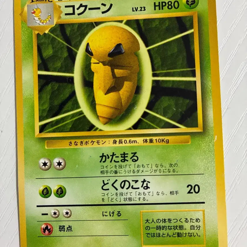[BUNJANG] Pokemon Card 1996 Cocoon / 포켓몬카드 초기 1996 코쿤