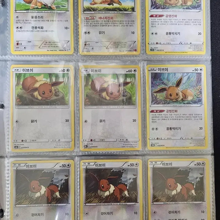 [BUNJANG] Eevee Set Pokemon Cards / 포켓몬카드 이브이 세트
