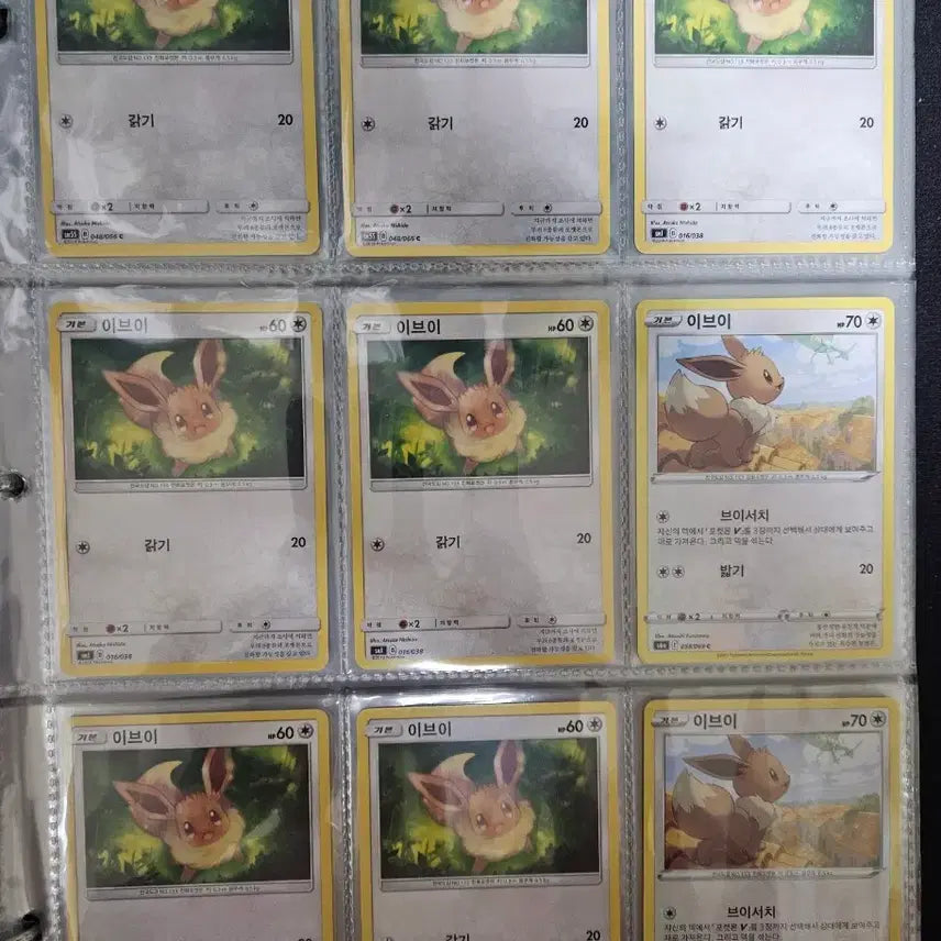 [BUNJANG] Eevee Set Pokemon Cards / 포켓몬카드 이브이 세트
