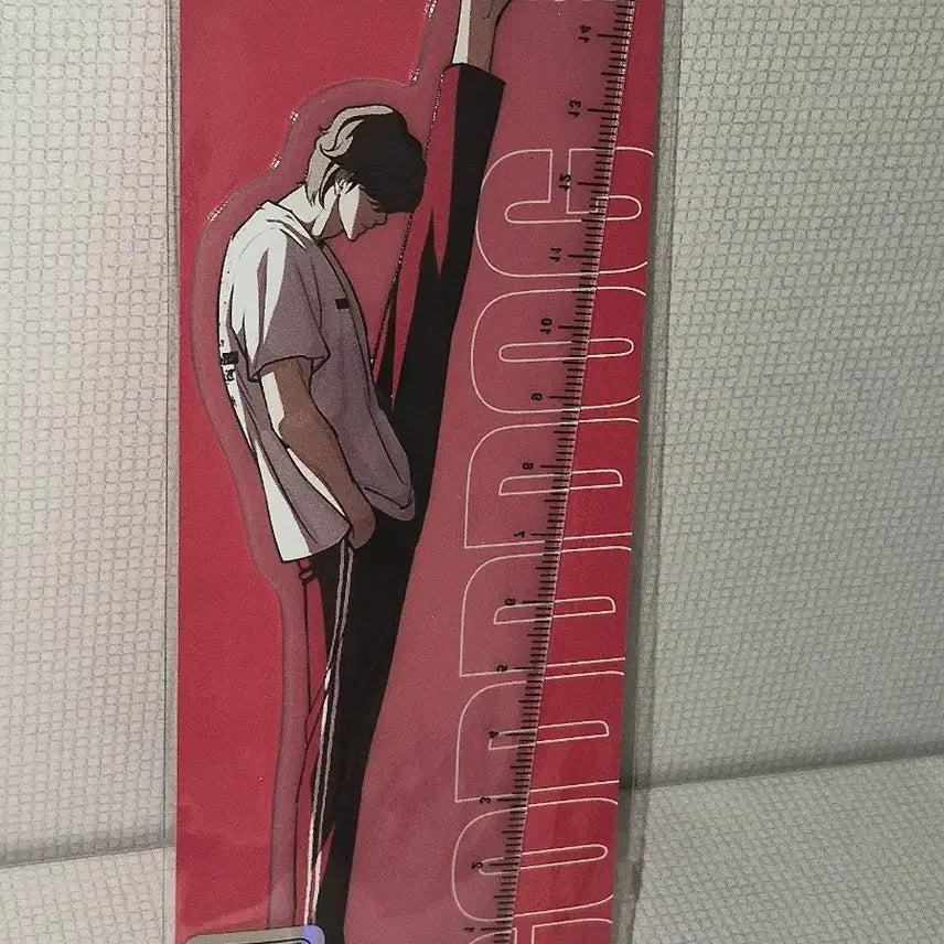 [BUNJANG] God Dog Sung Yoohan Acrylic Ruler 15cm / 외지주 갓독 성요한 아크릴 자 15cm