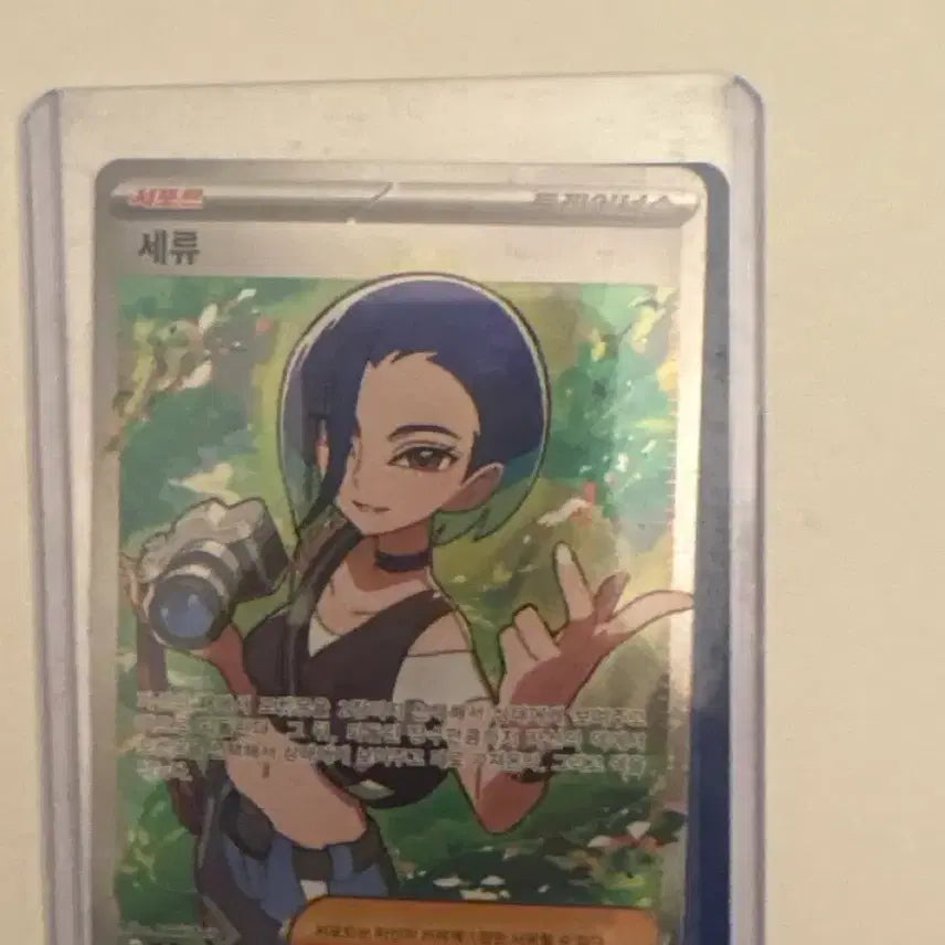 [BUNJANG] Pokemon Card Seru / 포켓몬 카드 세류