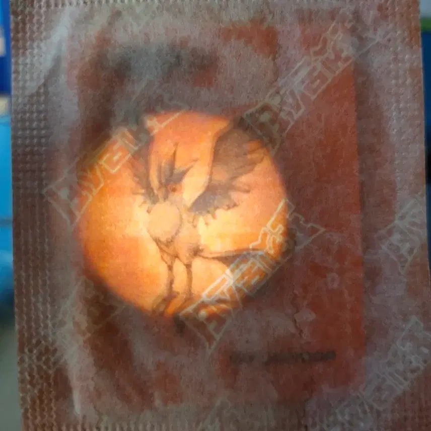 [BUNJANG] Pokemon 30th Anniversary Artwork Freezer Ttibusal Sealed / 포켓몬 30주년 아트워크 프리져 띠부씰<미개봉>판매해요