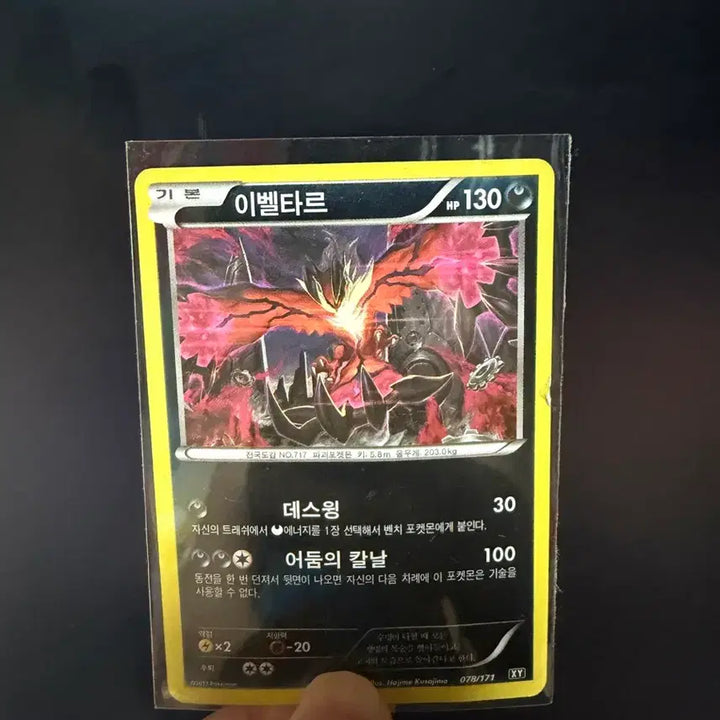 [BUNJANG] Pokemon TCG Yveltal Card / 포켓몬스터 카드 이벨타르