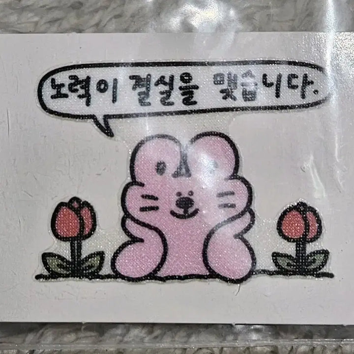 [BUNJANG] Kim Toki Effort Bears Fruit Sticker / 김토끼 노력이 결실을 맺습니다 띠부 씰 스티커