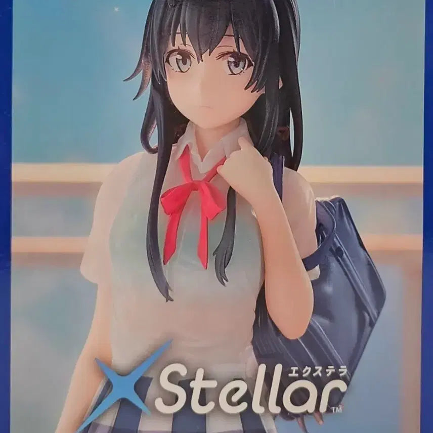 [BUNJANG] Sega Yukinoshita Yukino &