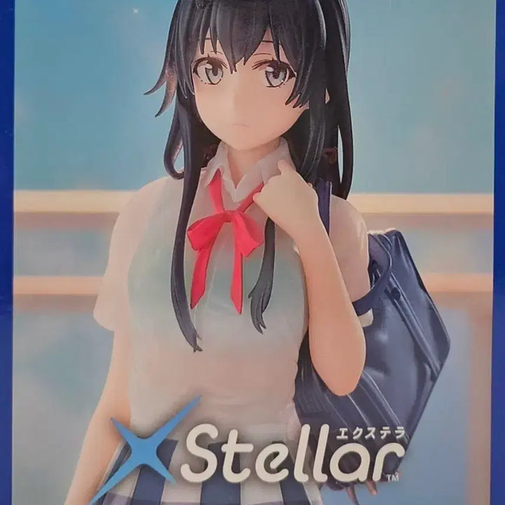 [BUNJANG] Sega Yukinoshita Yukino &