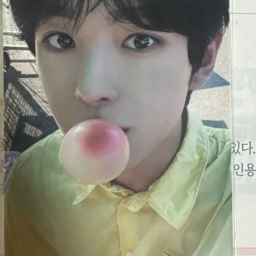 [BUNJANG] Songbird Riku Photocard / 팝츄