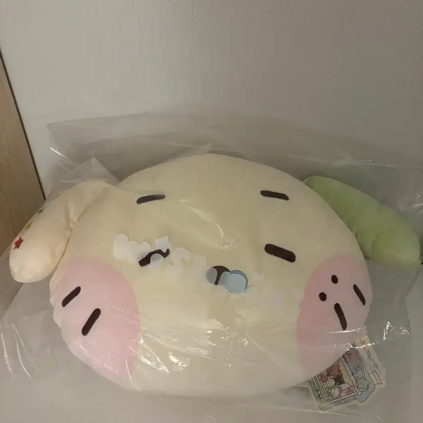 [BUNJANG] NCT WISH LINE FRIENDS WISHY WINY Cushion / 엔시티위시 라인프렌즈 위시니니 쿠션