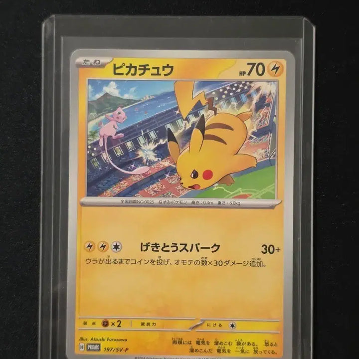 [BUNJANG] Pokemon Card Gym Promo Pikachu vs Mew / 포켓몬 카드 짐프로모 피카츄 vs뮤