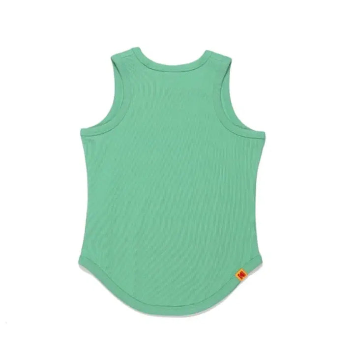 [BUNJANG] Kodak Apparel Sleeveless T-Shirt Mint / 코닥 나시 민소매
