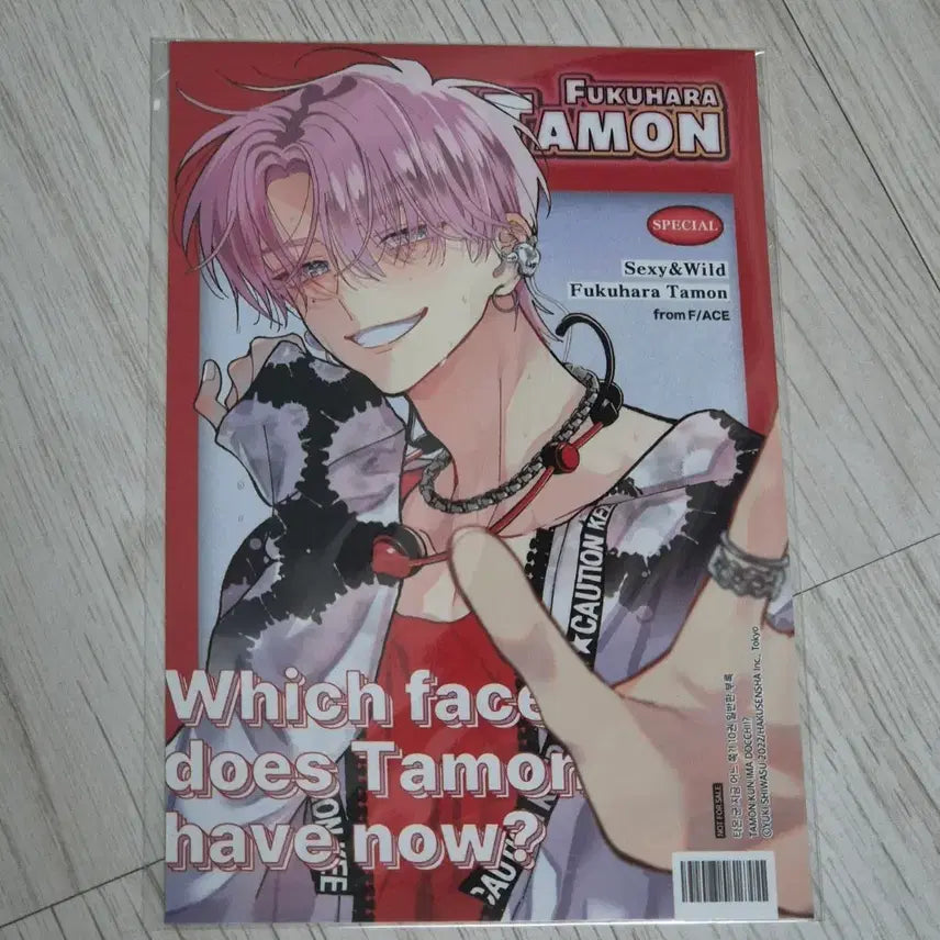 [BUNJANG] Fukuhara Tamon 10th Volume Special Edition / 타몬군 지금 어느쪽!? 후쿠하라 타몬 10권 특전