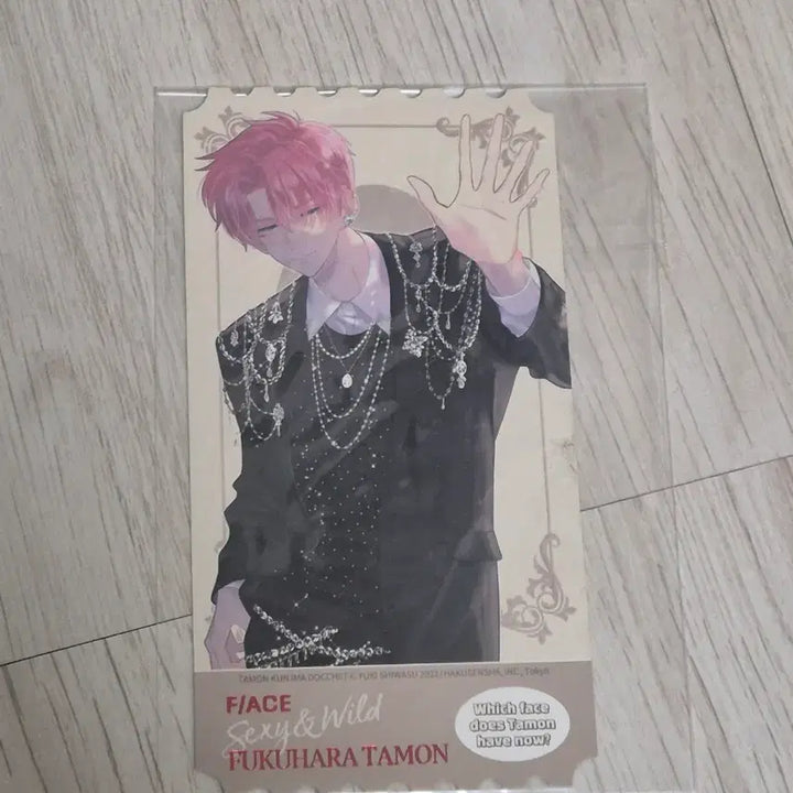 [BUNJANG] Tamon-gun, Which Way Are You Going Now!? Tamon Vol. 3 First Edition Ticket Bonus / 타몬군 지금 어느쪽!? 타몬 3권 초판 티켓 특전