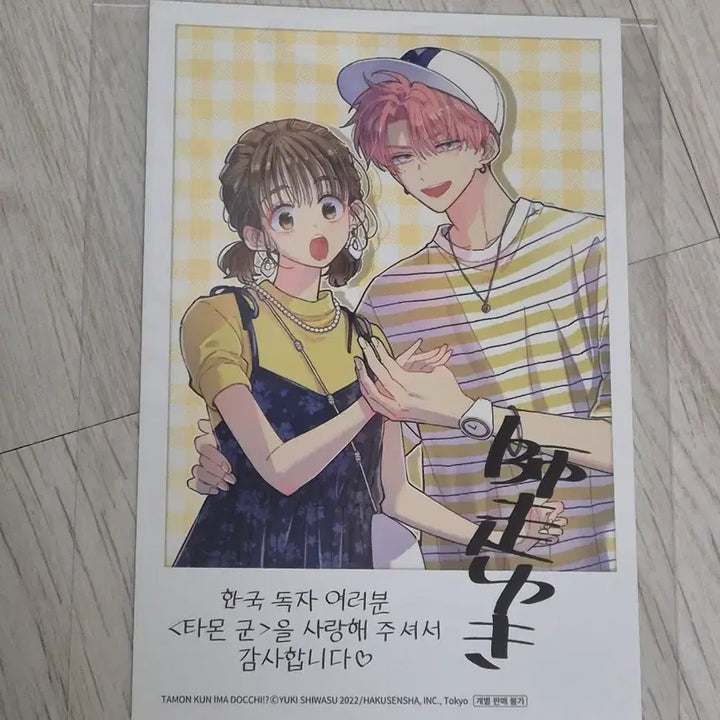 [BUNJANG] Tammon 엽서 / 타몬군 지금 어느쪽!? 타몬 엽서