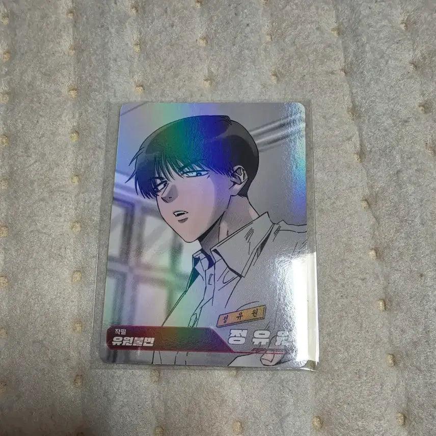 [BUNJANG] Jung Yuwon Photocard / 유원불변 정유원 포카