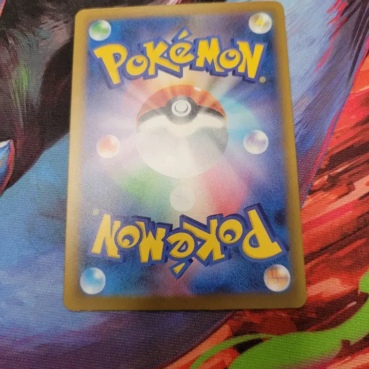 [BUNJANG] Pokemon Card Japanese Mega Chandelure EX SR 097/081 / 포켓몬카드 일판 메가샹델라EX SR 097/081 m5