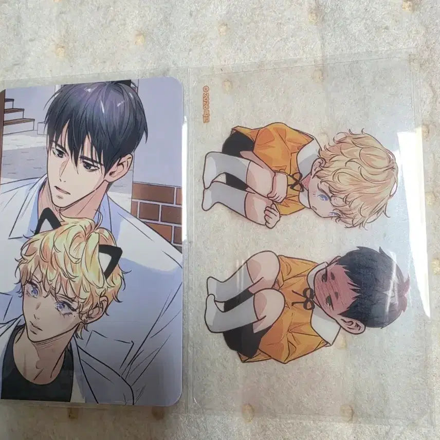 [BUNJANG] Love Fantasy Photocard / 사랑은환상 포카
