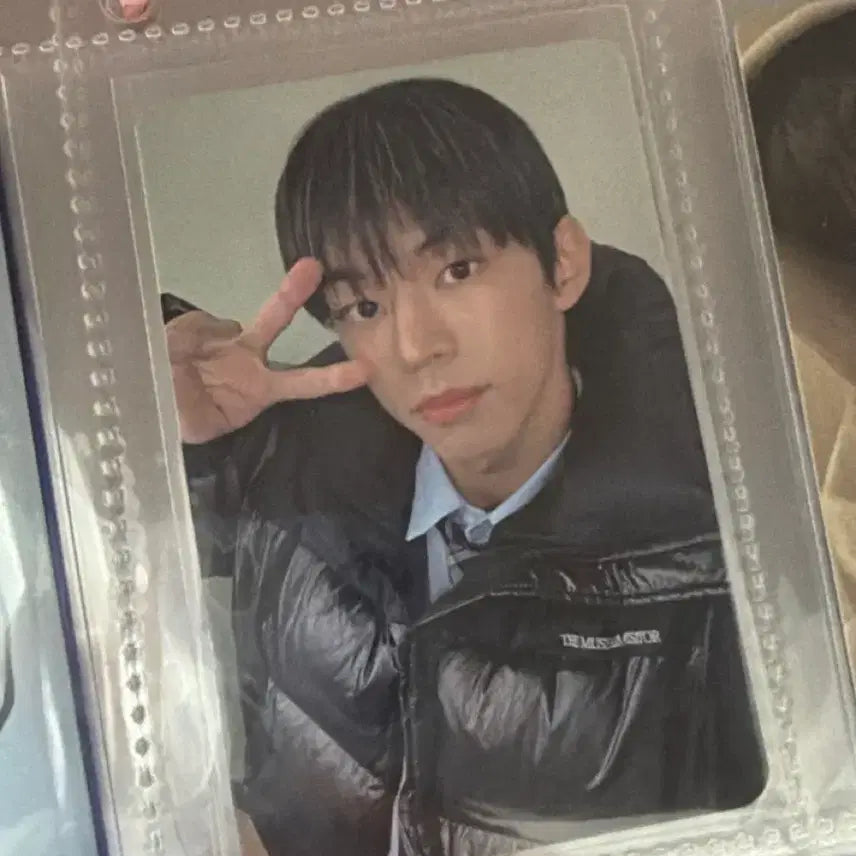 [BUNJANG] TWS Dohoon Debut Era Photocard / 투어스 도훈 데뷔초 포카