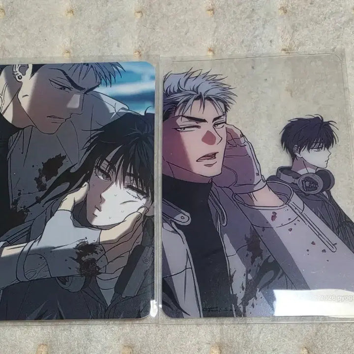 [BUNJANG] R2R Photocard / R2R  알투알 포카