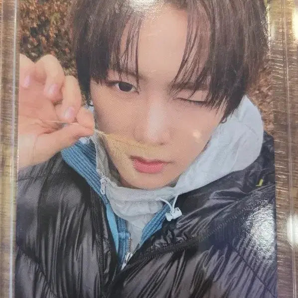 [BUNJANG] ALDIWON OMG Official Photocard / 알디원 omg 공방 안신 포카 양도