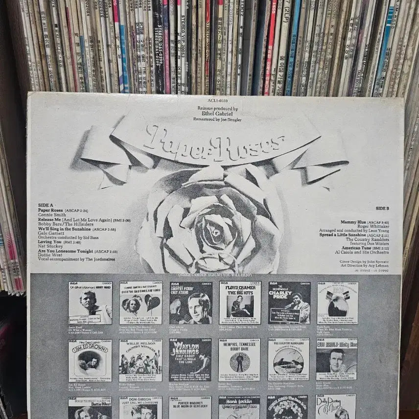 [BUNJANG] Paper Roses LP / Paper Roses LP