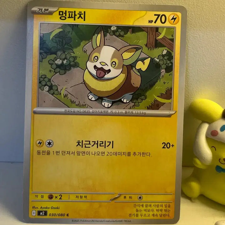 [BUNJANG] Pokemon Card - Pawmot / 포켓몬 카드 멍파치