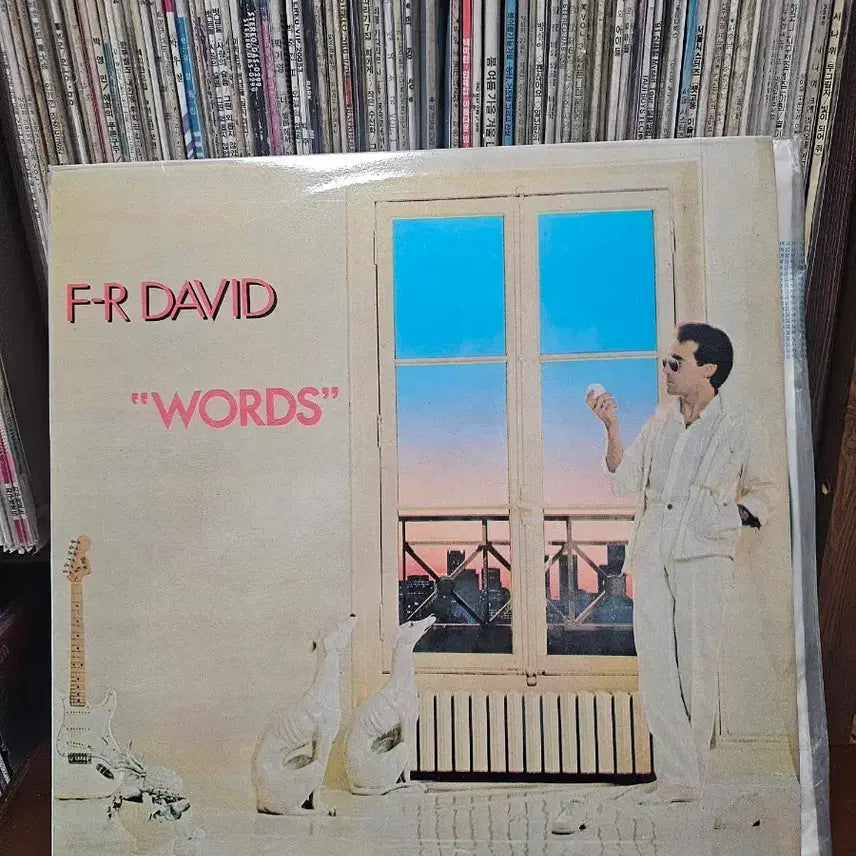 [BUNJANG] F-R David &